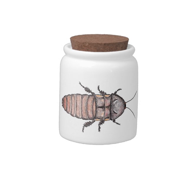 Hissing Cockroach Candy Jar (Left)