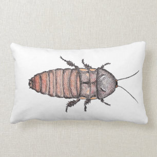 Hissing Cockroach Pillow