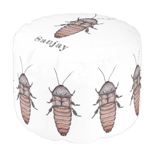 Hissing Cockroach Round Pouf