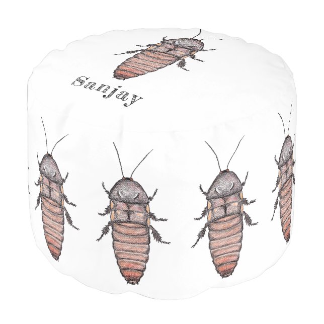 Hissing Cockroach Round Pouf (Angled Front)