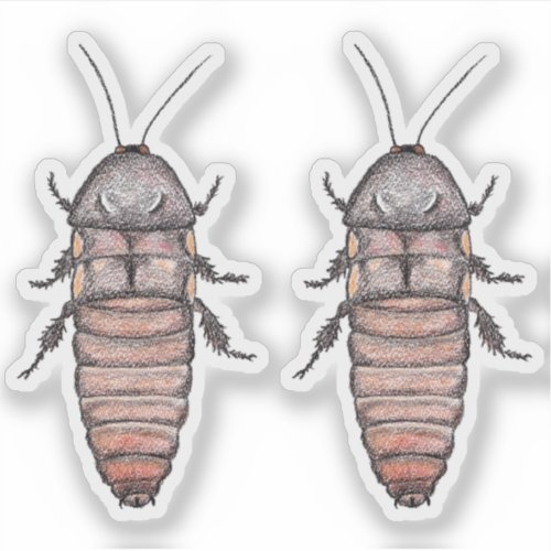 Hissing Cockroach Vinyl Stickers