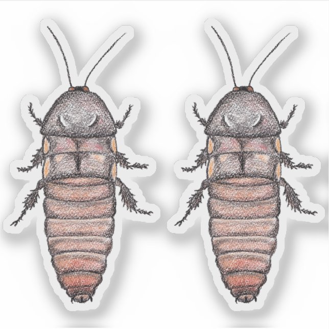 Hissing Cockroach Vinyl Stickers (Front)