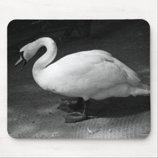 HiSSs Mouse Pad