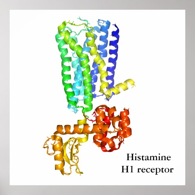 Histamine receptor poster (Front)