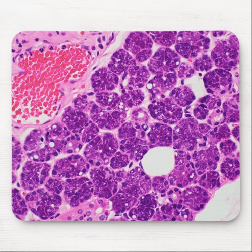 Histology art _ Mousepad