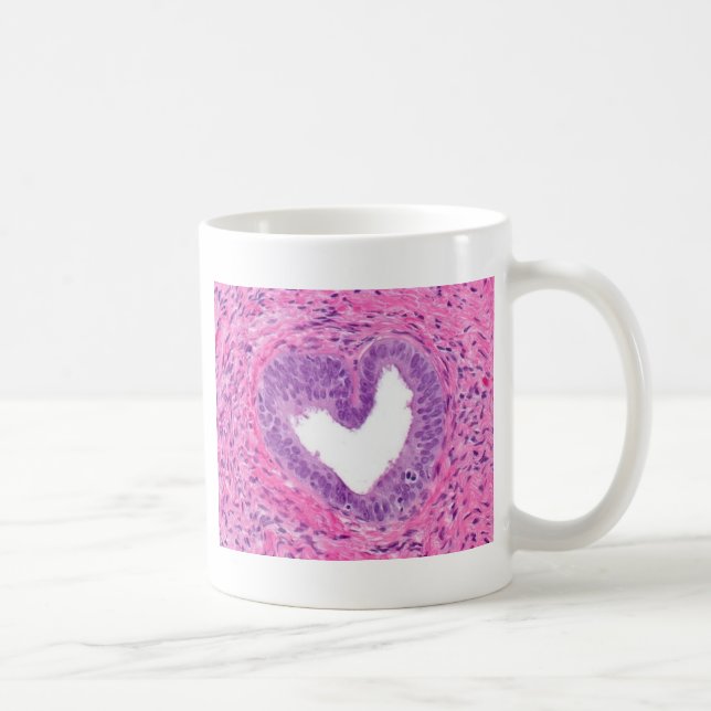 Histology Love mug (Right)