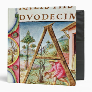 Historiated initial 'A' depicting 3 Ring Binder