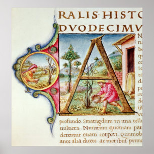 Historiated initial 'A' depicting Poster