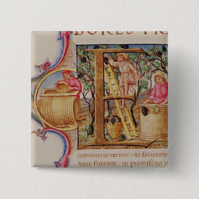 Historiated initial 'E' depicting grape picking Button (Front)