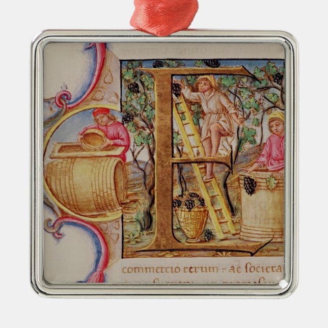 Historiated initial 'E' depicting grape picking Metal Ornament (Front)