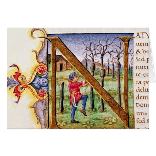 Historiated Initial 'N' Cards (Front Horizontal)