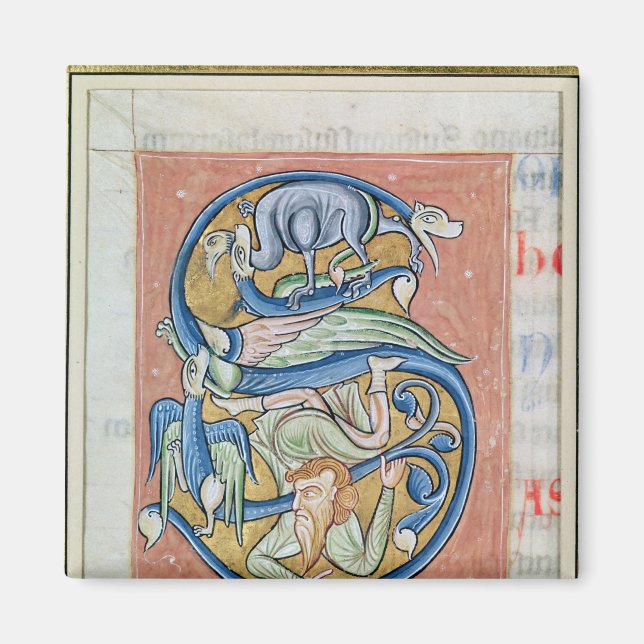 Historiated initial 'S' depicting an acrobat Magnet (Front)