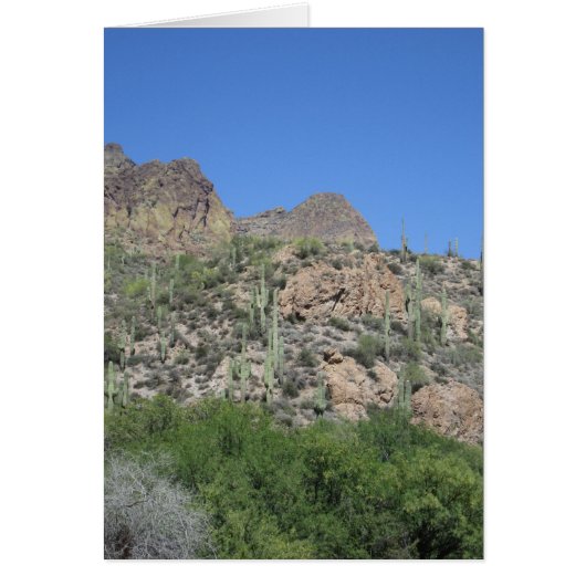 Historic Apache Trail Cards (Front)
