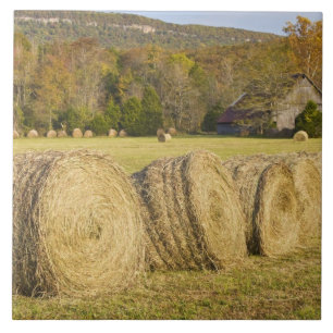 Historic farm in the Buffalo National River, Ceramic Tile
