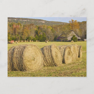 Historic farm in the Buffalo National River, Postcard