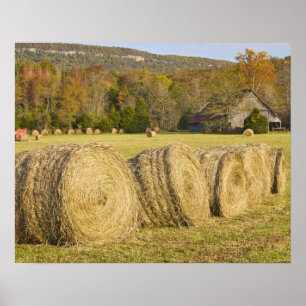 Historic farm in the Buffalo National River, Poster