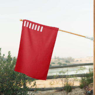 Historic Forster Flag