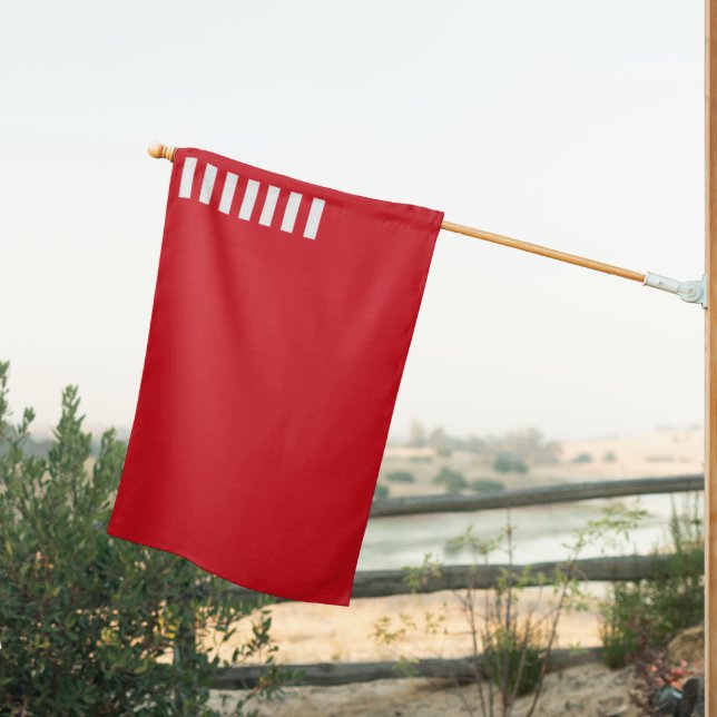 Historic Forster Flag (Insitu (Back))