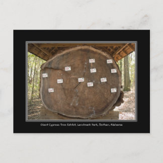 Historic Landmark Park, Dothan Alabama Post Card