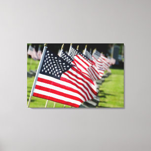 Historic military cemetery with US flags Canvas Print