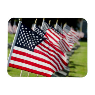 Historic military cemetery with US flags Magnet