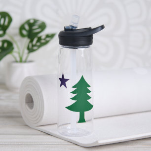 Historic Pine Tree Flag of Maine (1901–1909)  Water Bottle