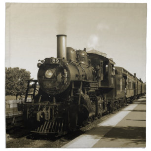 Historic Railroad Cloth Napkin
