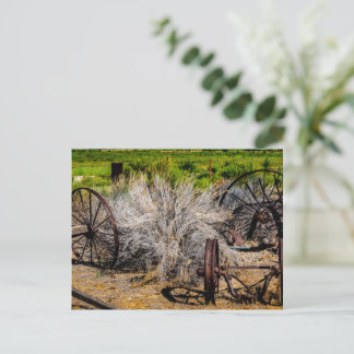 Historic Ranch Wheels Glossy Postcard