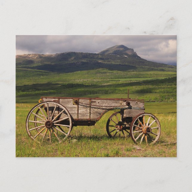 Historic Wagon Left In A Pasture  Postcard (Front)