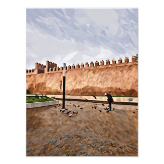 Historical City Wall with Person Feeding Pigeon Photo Print