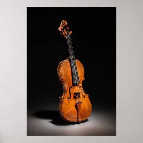 Historical Italian Cello Photograph 1560 Poster