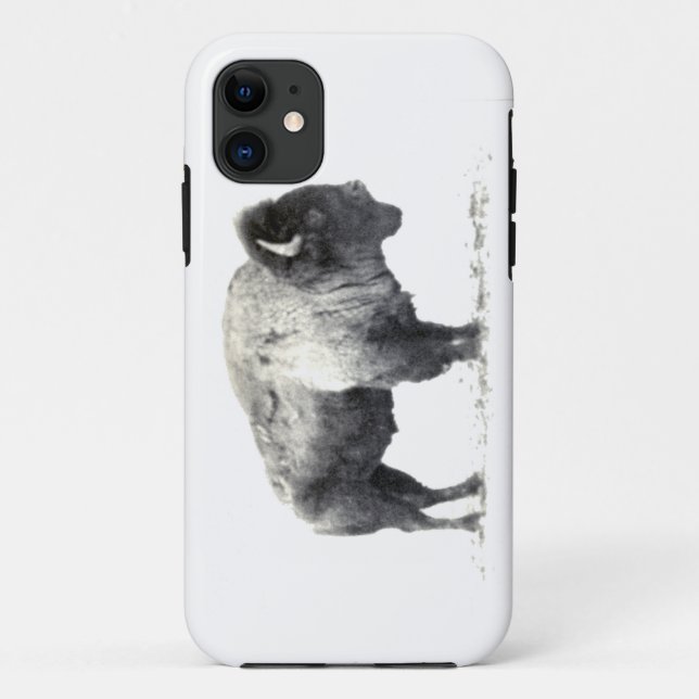 Historical Photograph of American Bison Case-Mate iPhone Case (Back)