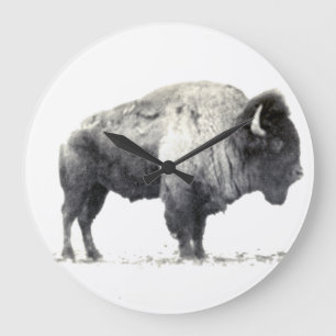 Historical Photograph of American Bison Large Clock