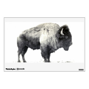 Historical Photograph of American Bison Wall Sticker