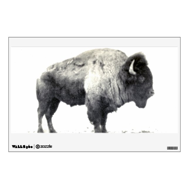 Historical Photograph of American Bison Wall Sticker (Front)