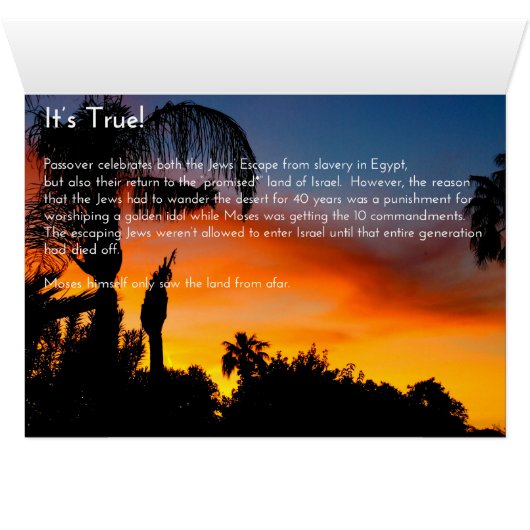 Historically Accurate Holiday Cards: Passover (Inside Horizontal (Bottom))