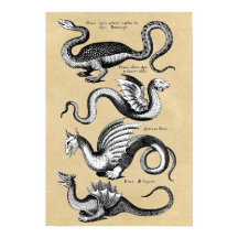 History of Dragons Wall Chart