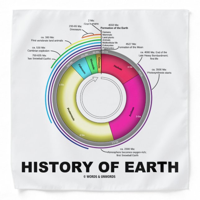 History Of Earth Geological Timeline Bandana (Front)