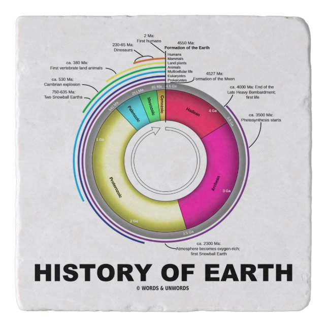 History Of Earth Geological Timeline Trivet (Front)