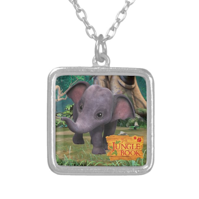 Hita Silver Plated Necklace (Front)