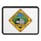 Hitch Cover