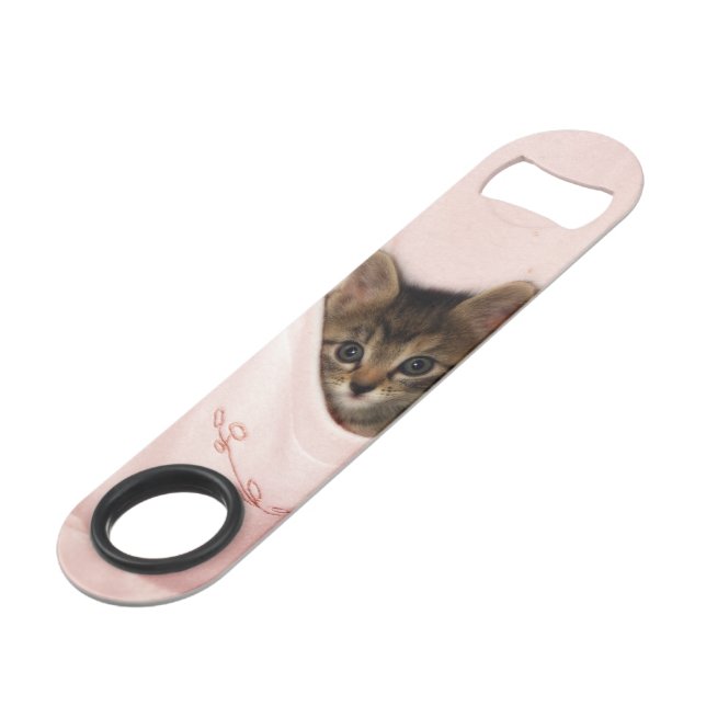 Hitchhiking Bar Key (Back Angled)