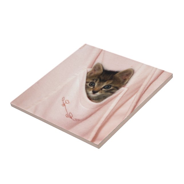 Hitchhiking Ceramic Tile (Side)