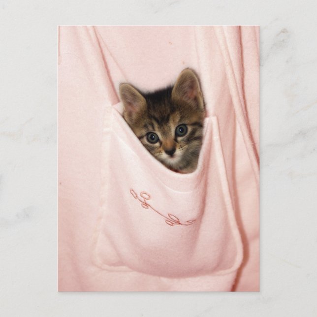 Hitchhiking Postcard (Front)