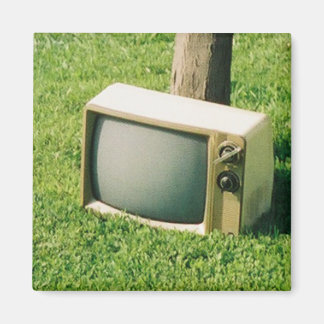 Hitchhiking t.v. magnet