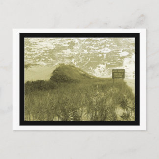 Hither Hills, Montauk Postcard
