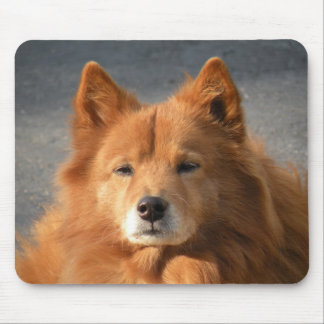 'Hiya!' Mouse Pad