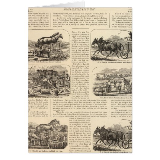 HL Emory and Sons Cards (Front)