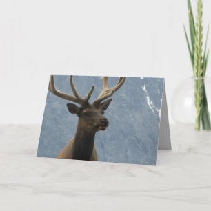 Hmmm, it seems you have a birthday coming up. card