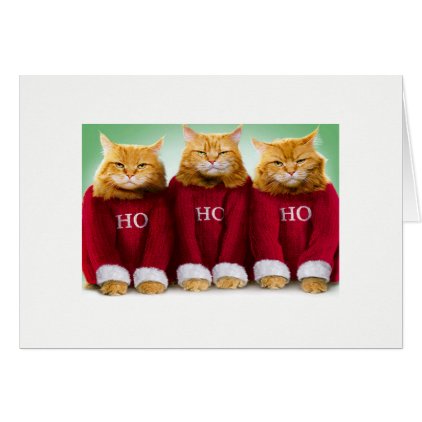 Ho Ho Ho Cat Xmas Card